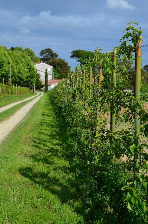 Agriturismo Al Podere Di Rosa Lucca Exteriér fotografie