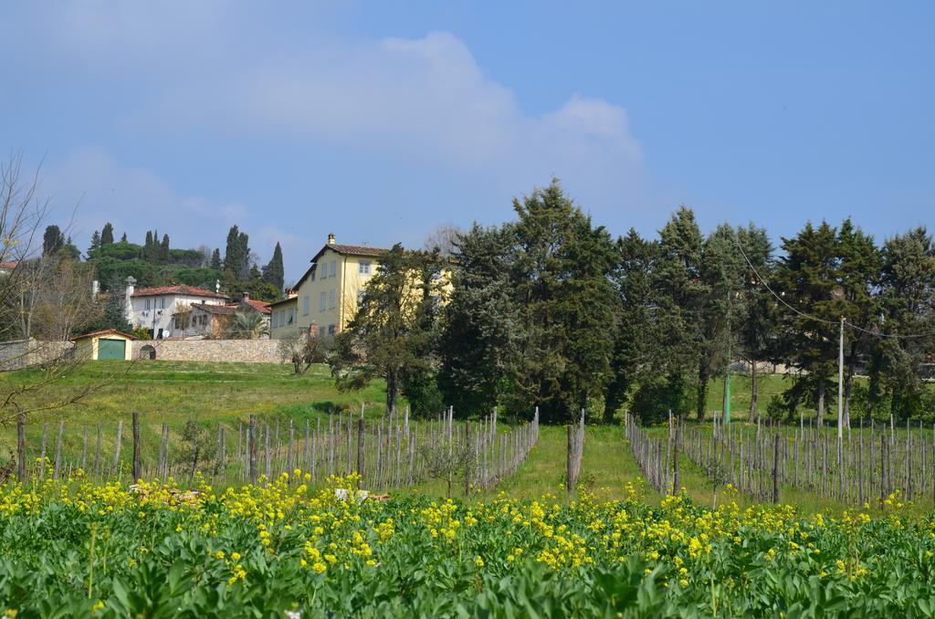 Agriturismo Al Podere Di Rosa Lucca Exteriér fotografie
